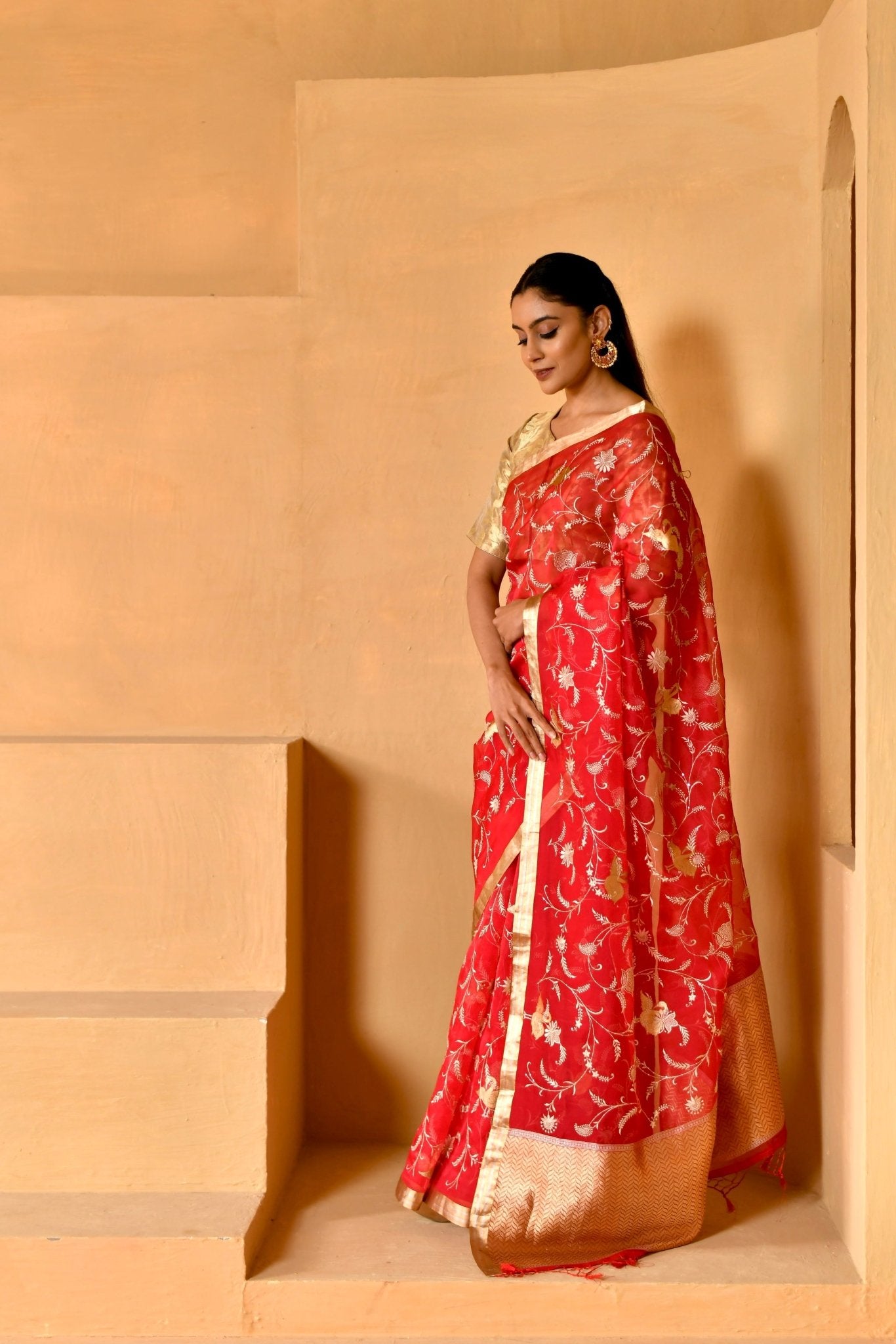 Handwoven Red Organza Saree with Floral Jaal - Banarasiya