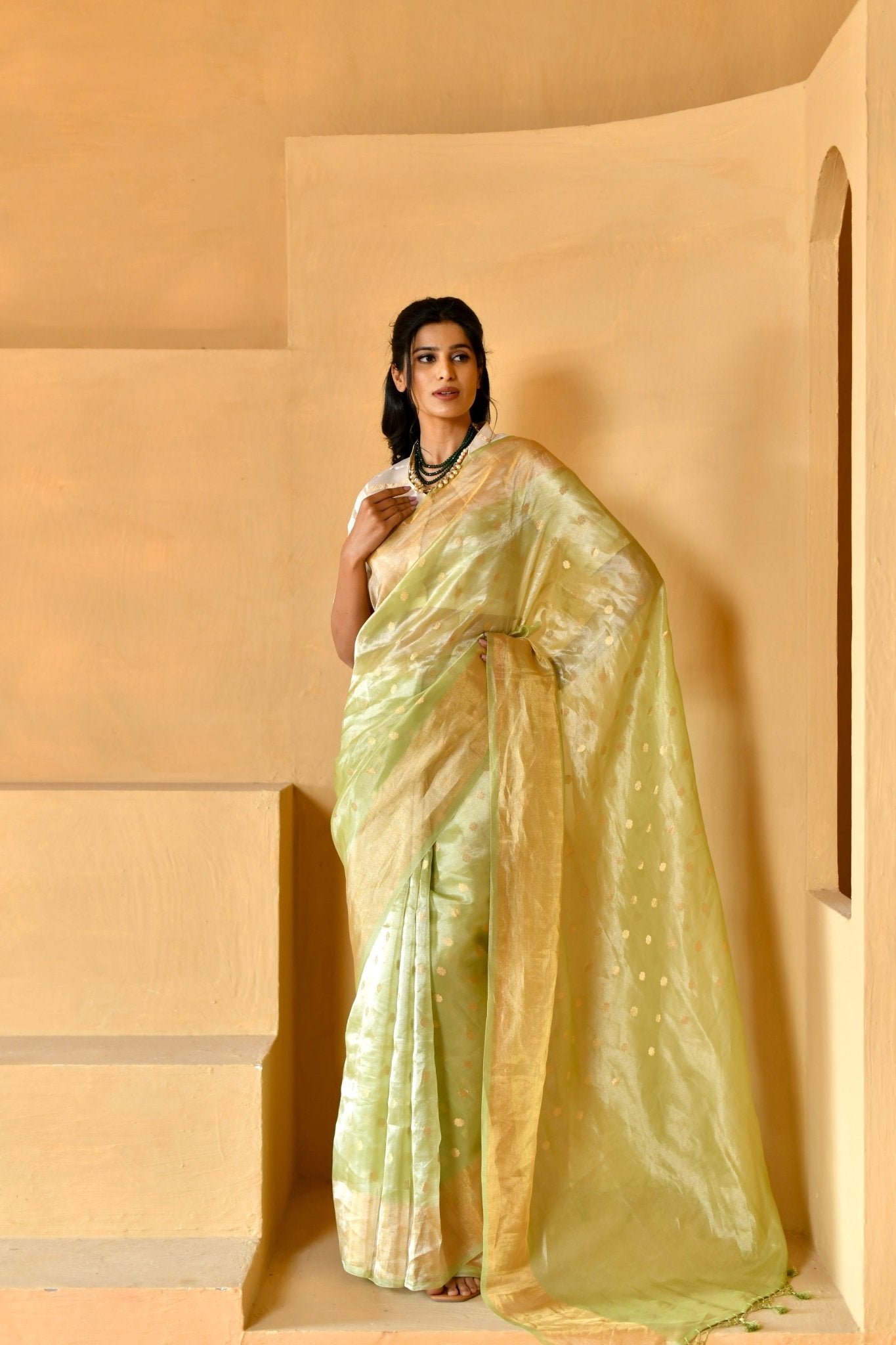 Soft Pista Green Tissue Silk Saree - Banarasiya