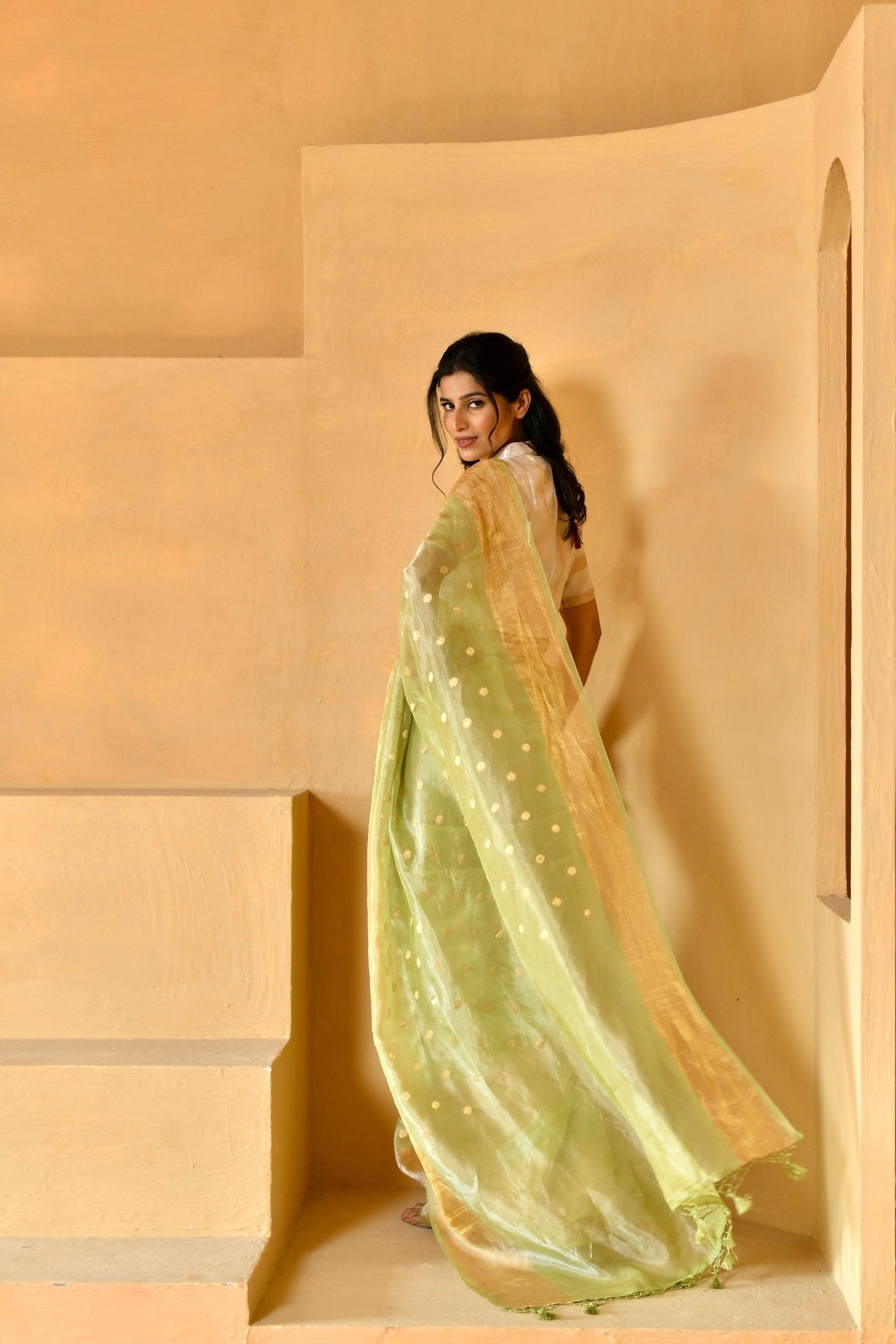 Soft Pista Green Tissue Silk Saree - Banarasiya