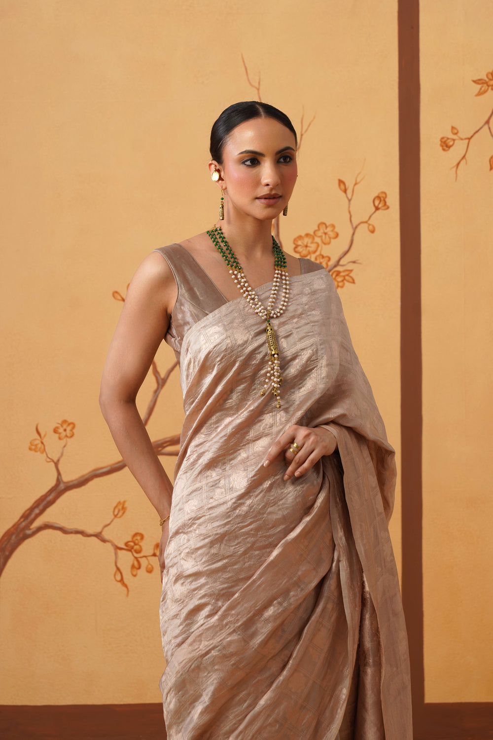 Handwoven Tissue Katan Shikargah Saree in Golden Menagerie