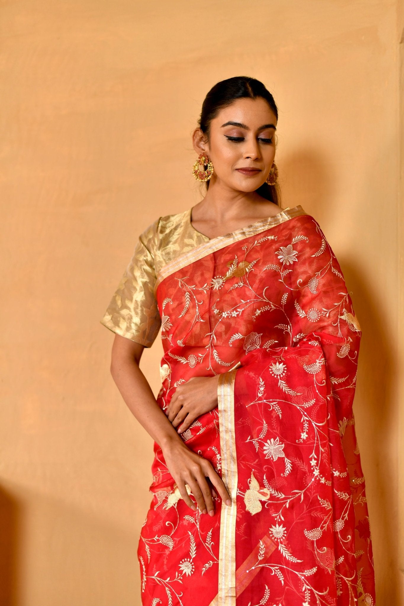 Handwoven Red Organza Saree with Floral Jaal - Banarasiya