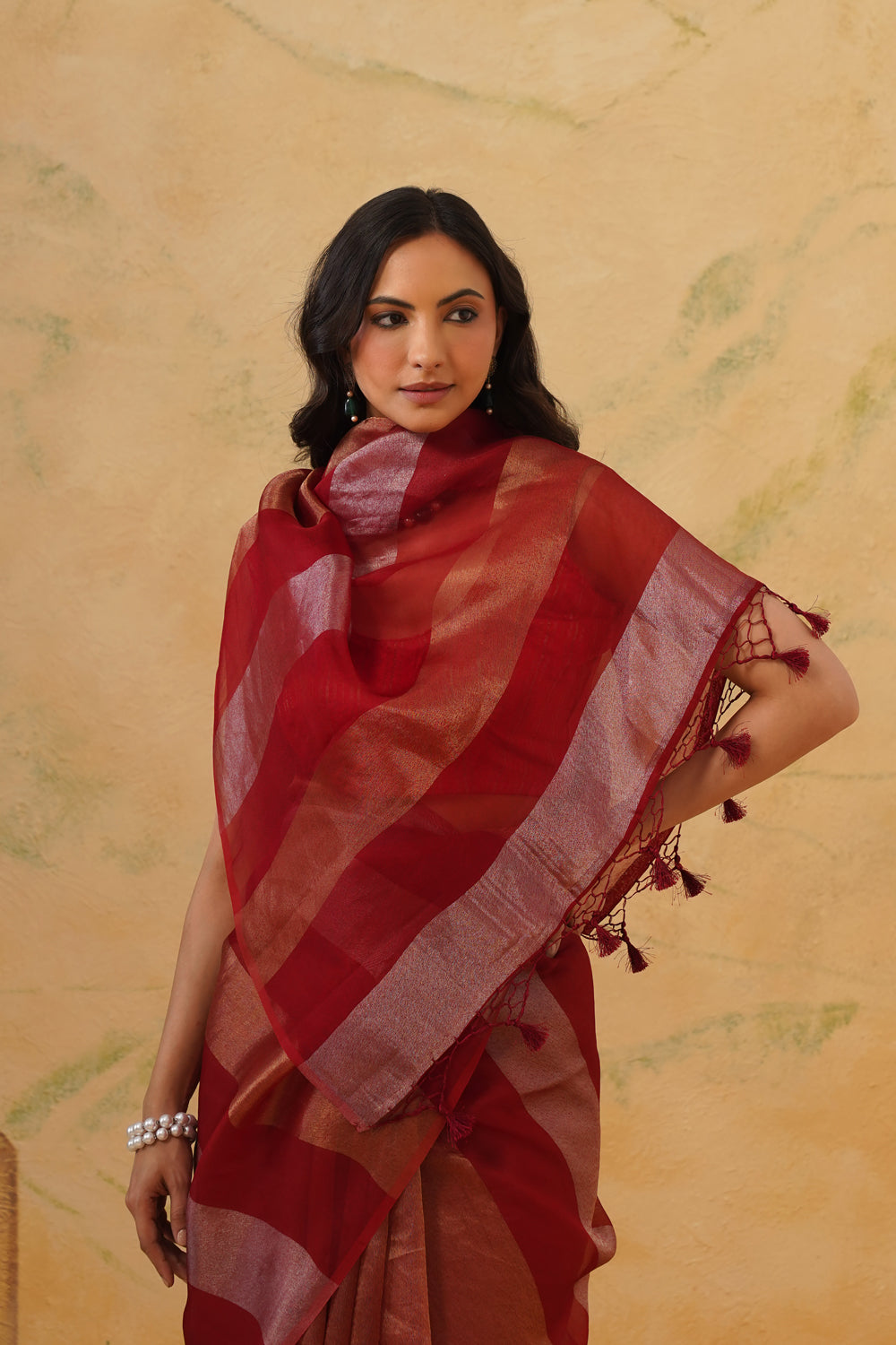 Handwoven Red Tissue Silk Saree in Half-and-Half Striped Concept