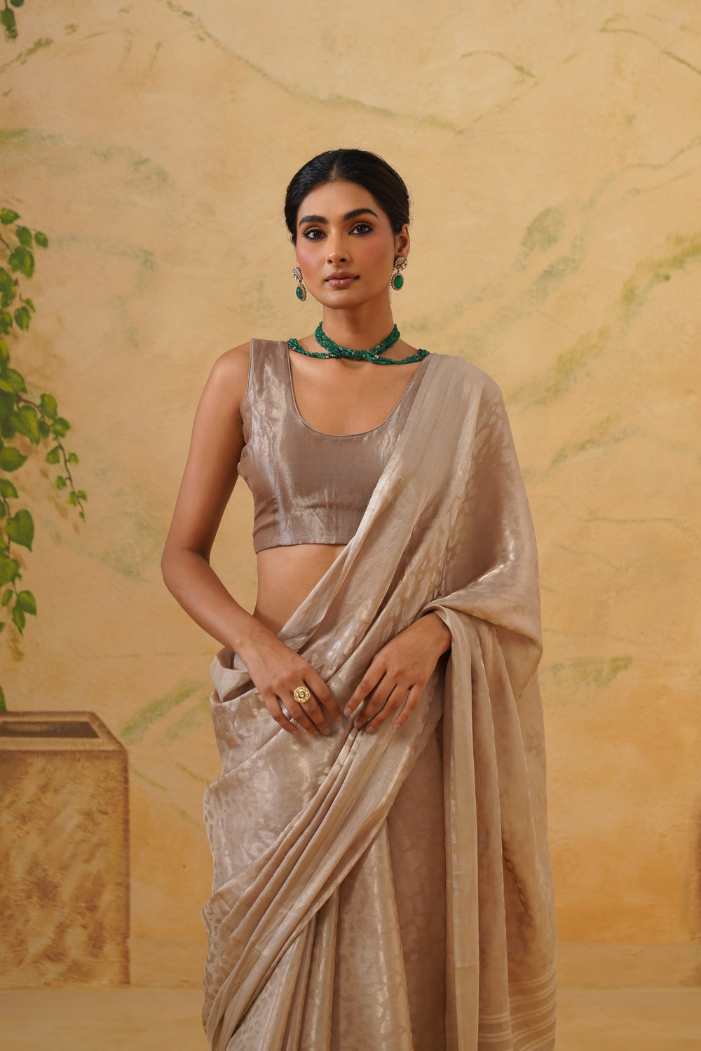 Handwoven Silver-Beige Katan Tissue Silk Saree in Tanchoi