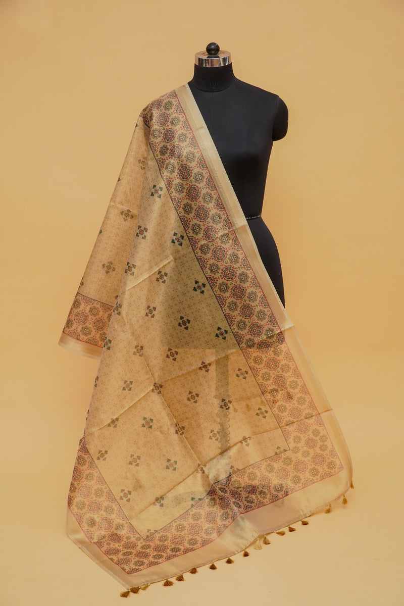 Rekhta Chandi Printed Tissue Silk Dupatta