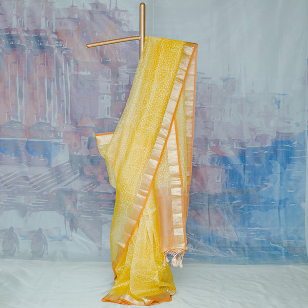 Pastel Yellow Pure Organza Printed Banarasi Saree