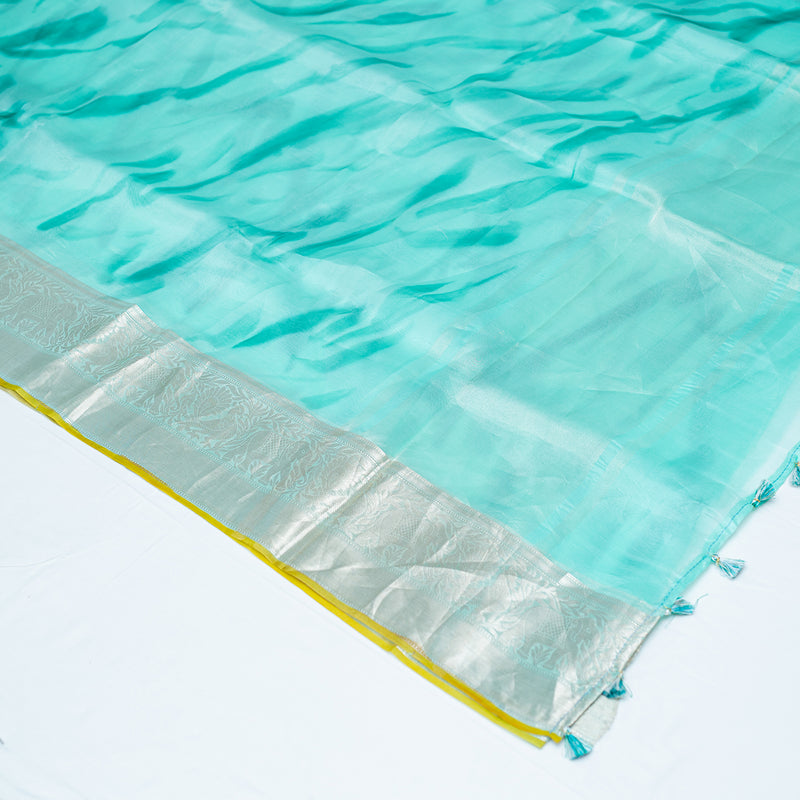 Pastel Blue Pure Organza Handloom Banarasi Saree