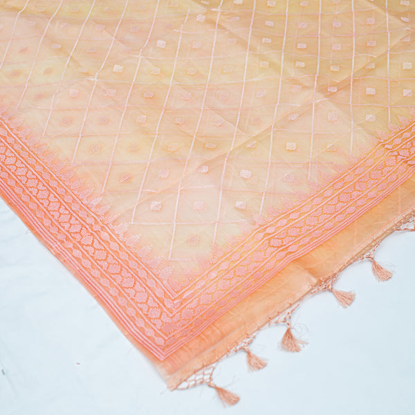 Pastel Peach Pure Organza with Embroidery Saree