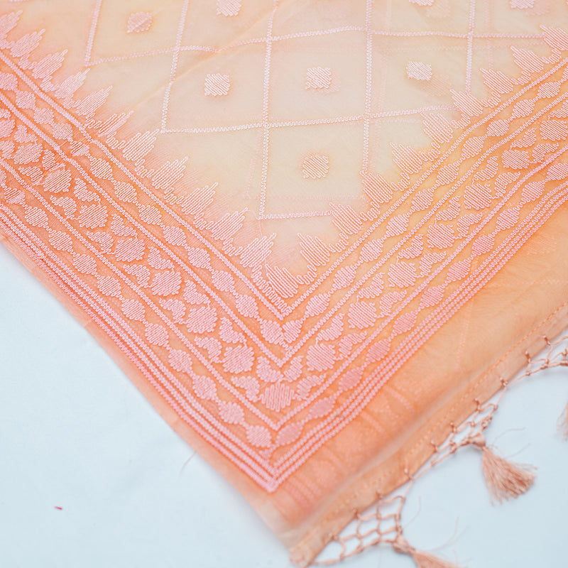 Pastel Peach Pure Organza with Embroidery Saree