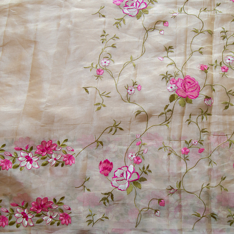 Cream Pure Tissue Silk With Embroidery Saree