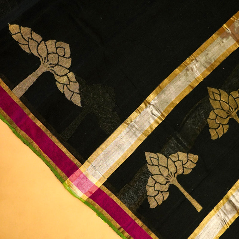Black Color Pure Handloom Cotton Saree- Banarasiya